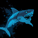 International Shark Awareness Day